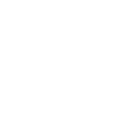 Fondo